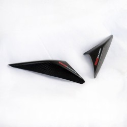 Sliders De Coque Arrière R&G Racing - Carbone Matte