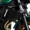 Protection De Radiateur Gravée R&G Racing - Kawasaki Ninja 650/Z650/Rs