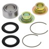 Lower Rear Shock Bearing Kit