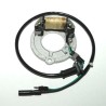 Stator Honda Cr 60 R (de01)