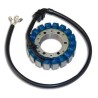 Stator Honda Cbr 900 Rr Fireblade (sc44)