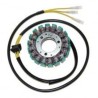 Stator Suzuki Gs 500 E