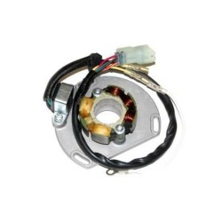 Stator Avec Bobine D'éclairage Ktm 125 Sxs