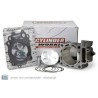 Kit Cylindre Piston Suzuki Lt-R 450 Quadracer 2wd