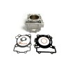 Kit Cylindre Piston Yamaha Wr 250 R (dg20)