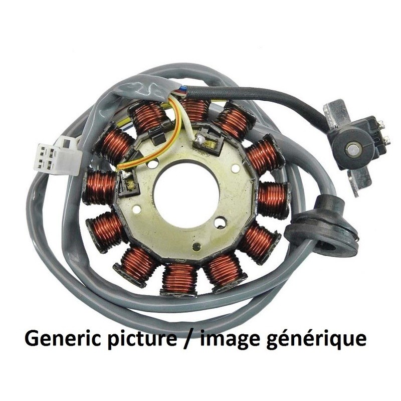 Stator Honda Cbr 1000 Rr Fireblade (sc57)