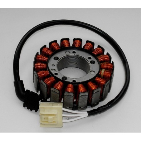 Stator Yamaha Fzs 1000 Fazer (rn06)