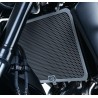 Protection De Radiateur R&G Racing Titane Yamaha Mt-09